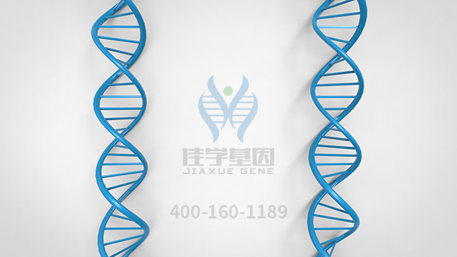<b>【佳學(xué)基因檢測</b>